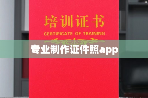 嵩县专业制作证件照app